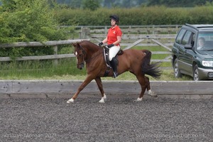 ISIS Dressage Challenge 2008